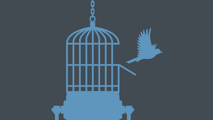press freedom bird