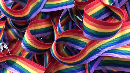 LGBT+ ribbons landscape